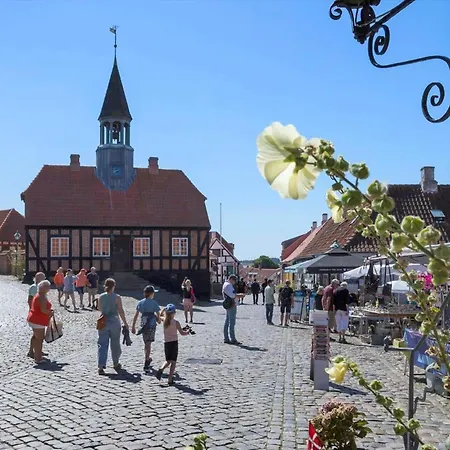 84270-ebeltoft-vagtelvej-2-b *